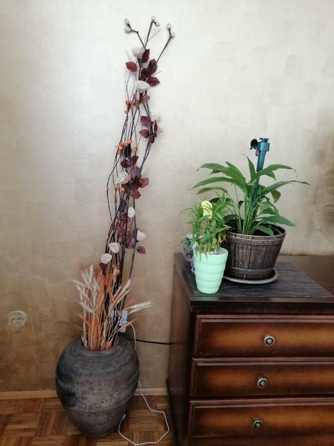 Apartman Maja Баня Лука Екстериор снимка